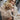 DEBLON M JACK Deblon Franzy Teddy Jacket Camelkleur - Match Laren