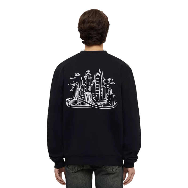 FLANEUR M SWEATER Flaneur Metropolis Sweater Zwart - Match Laren