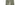 GANNI M BROEK 34 / GROEN COMBI Ganni Floral Broek Met Print Groen - Sisera Laren