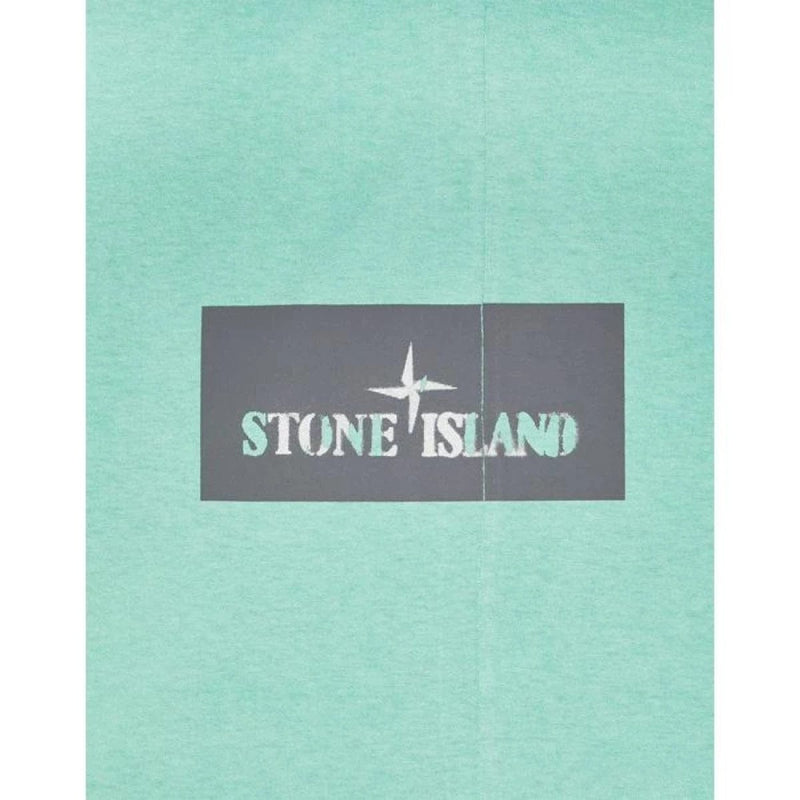 STONE ISLAND M T-SHIRT STONE ISLAND T-Shirt Institutional One Print Lichtgroen - Match Laren