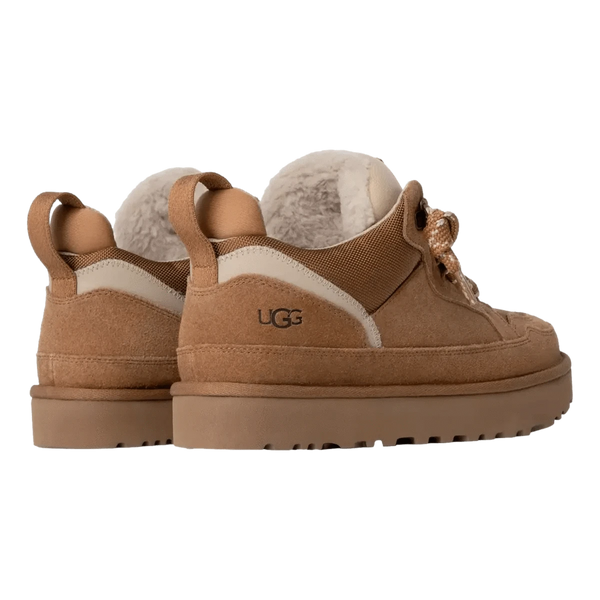 UGG M SNEAKER Ugg Heren Sneaker Lowmel Camel - Match Laren