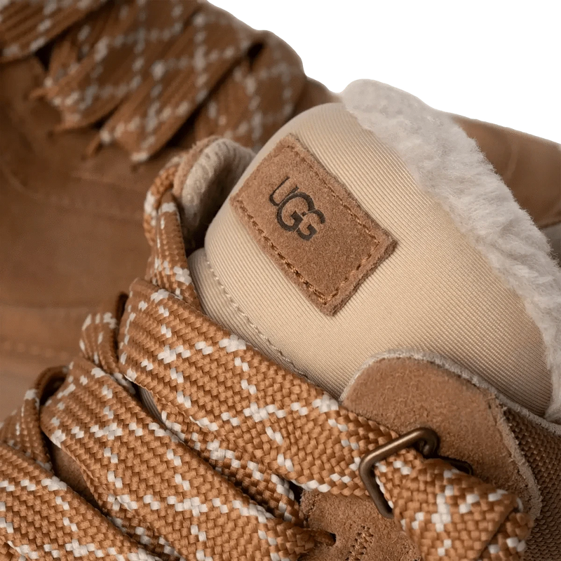 UGG M SNEAKER Ugg Heren Sneaker Lowmel Camel - Match Laren