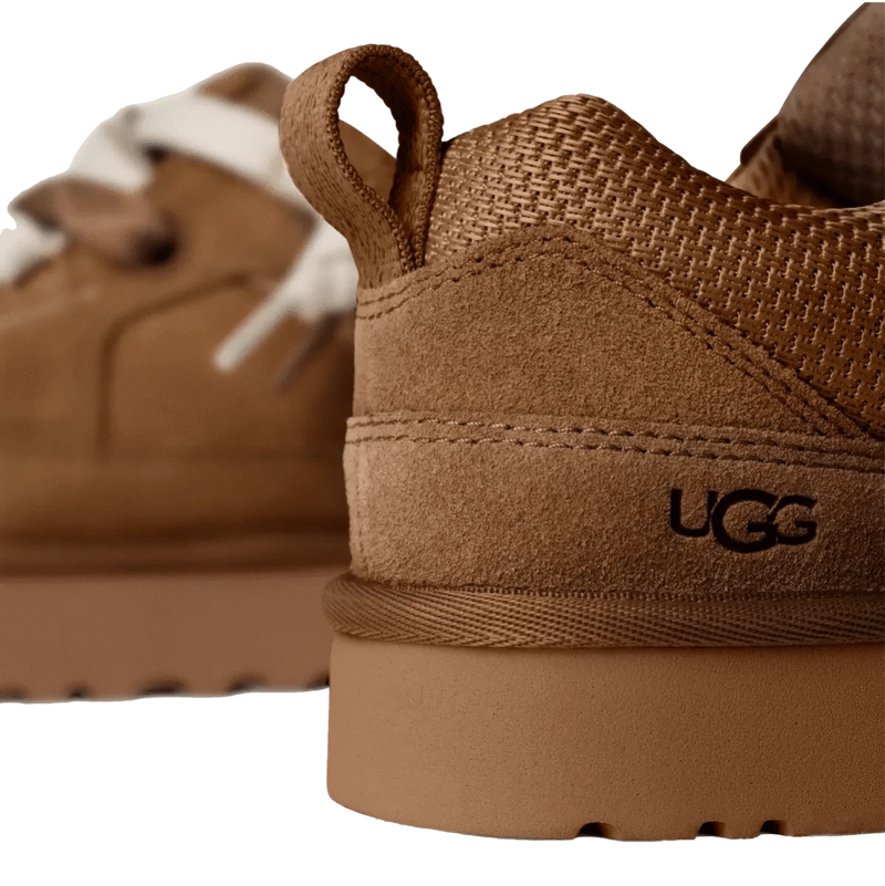 UGG M SNEAKER Ugg Sneaker Low Lowmel Camel - Match Laren