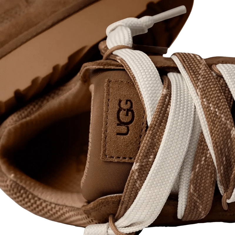 UGG M SNEAKER Ugg Sneaker Low Lowmel Camel - Match Laren