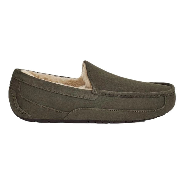 UGG PANTOFFELS 10 / DONKERGROEN UGG - Pantoffel/schoen Ascot Donkergroen - Match Laren