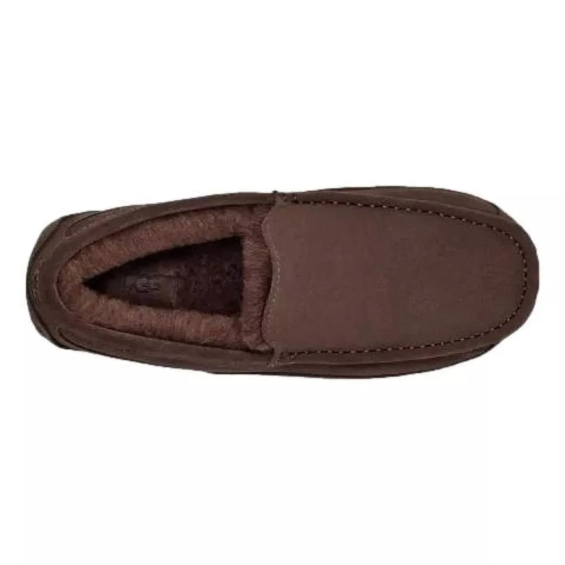 UGG PANTOFFELS UGG Ascot Pantoffel Donkerbruin - Match Laren