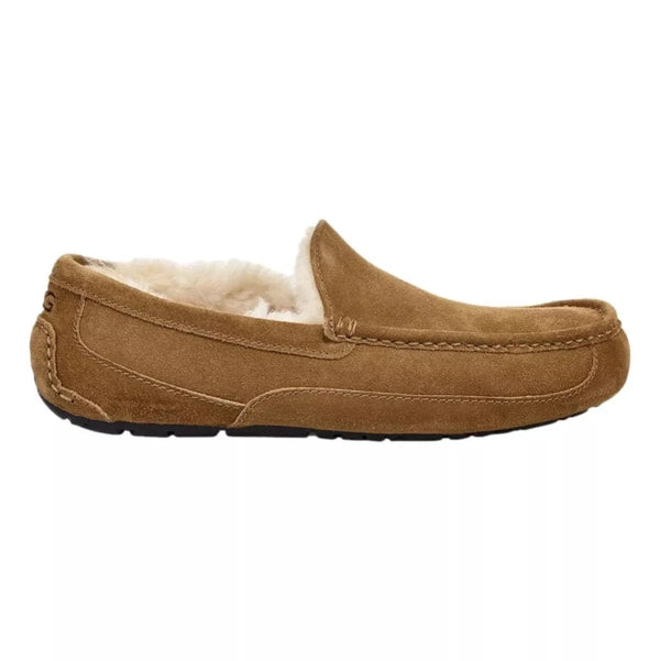 UGG PANTOFFELS UGG - Pantoffel/schoen Ascot Chestnut - Match Laren