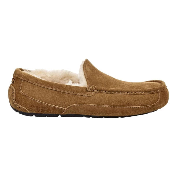 UGG PANTOFFELS UGG - Pantoffel/schoen Ascot Chestnut - Match Laren