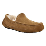 UGG PANTOFFELS UGG - Pantoffel/schoen Ascot Chestnut - Match Laren