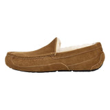 UGG PANTOFFELS UGG - Pantoffel/schoen Ascot Chestnut - Match Laren